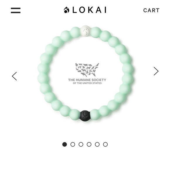 Lokai Jewelry - 🔴Animal Rescue Lokai